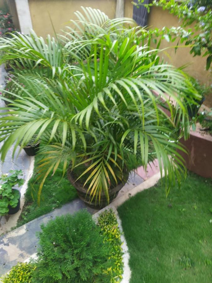 Rio Homestay Haputale Exterior foto